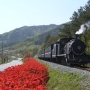 곡성-169 이미지