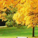 전해지는노래 이미지