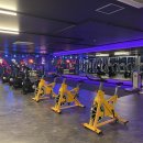 핏불 피트니스 이미지