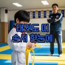 경향태권도 | 태권도 띠 순서 색깔과 품띠 기준