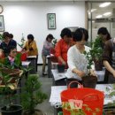 토피어리원예교실 이미지