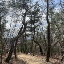 포천 소소 | 봄날 포천 나들이 - 포천아트밸리 / 산정호수 후기