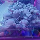 봉봉 스테이션 이미지