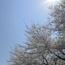 천명 | 거제 옥포 타로 점집 천명당 솔직후기