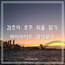 룰루랄라 우쿨렐레 | [공지] [호주 워홀] 감초의 워홀 일상 생각 하이라이트 몰아보기 (워홀 현타)