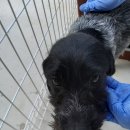 선사유적로 이미지