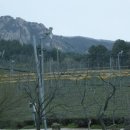 월출산방 이미지