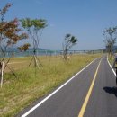 강변자전거길(남) 이미지