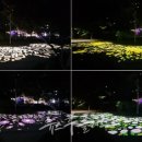 평택항만길 이미지