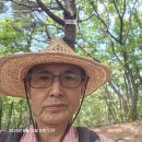 천안 왕자산-금북정맥-영인지맥분기점-성거산(556.5m)-영인지맥분기점-성거읍. 이미지