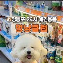 멍냥클럽