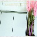 가온그림 이미지