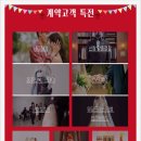 레이첼웨딩플랜
