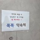 용당구장 | 24시간 시원한 실내에서 뛰어놀 수 있는 무인애견카페 '달리지용' 내돈내산 후기