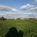 신도2리경로당 이미지