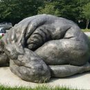 마태농장2 이미지