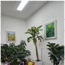 양평스크린 골프연습장 이미지