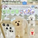 아토살롱 이미지