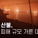 경북 산불, 인명 피해 규모 가른 대피령 이미지