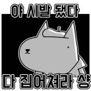 미스터 송헤어