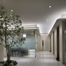 전한의원 | 청이담 한의원 후기