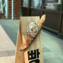 이달엔영월