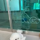 무브멍트 이미지