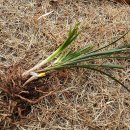 (주)금화 이미지