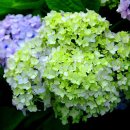 같은마음 이미지