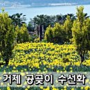공곶이 이미지