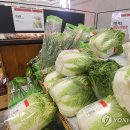 달;보다