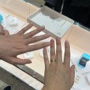 현대C.T카센타 | [W-06] 판교 현대백화점 티파니앤코 T&amp;CO 로즈골드 웨딩밴드 구매후기 (명품 웨딩밴드 가격 비교 포함)