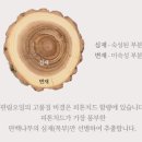 숲약국 | 약국 치약 성분 비교하다 발견한 차이