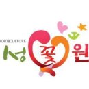 정성꽃원예