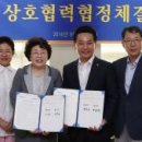 전라남도 영암군 머니투데이