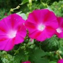 마음이머무는곳 이미지