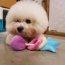 리사앤루이 이미지