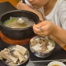 더제이메디칼 | 세부)제이파크리조트 아이랑13박14일숙박 솔직후기(사진많음주의)