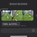 파브 퍼피 이미지