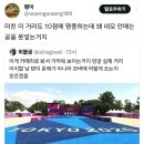 양궁 과녁 실제 거리 체감.jpg 이미지