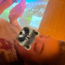 아쿠아필드 이미지