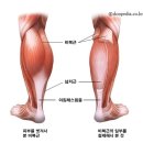 유토피아테라피 이미지