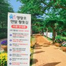 영랑호 입구 | 속초 영랑호 맨발황톳길 맨발걷기 체험후기