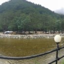 산울림민박 이미지