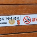 세븐일레븐대구두류로마점 이미지