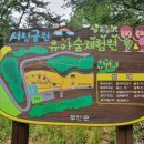 서림공원 유아숲체험원 이미지