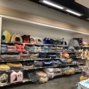 이마트 광명소하점 몰리스펫샵 이미지