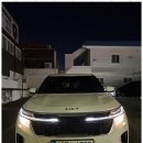 금성카써비스 이미지