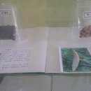 벽제초등학교 이미지