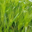 연제구-185 이미지